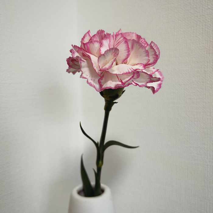 画像358